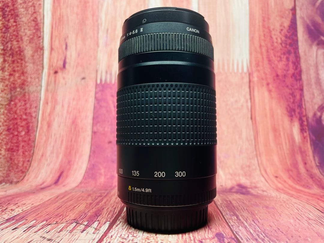 Canon キャノン EF 75-300 1:4-5.6 Ⅱ