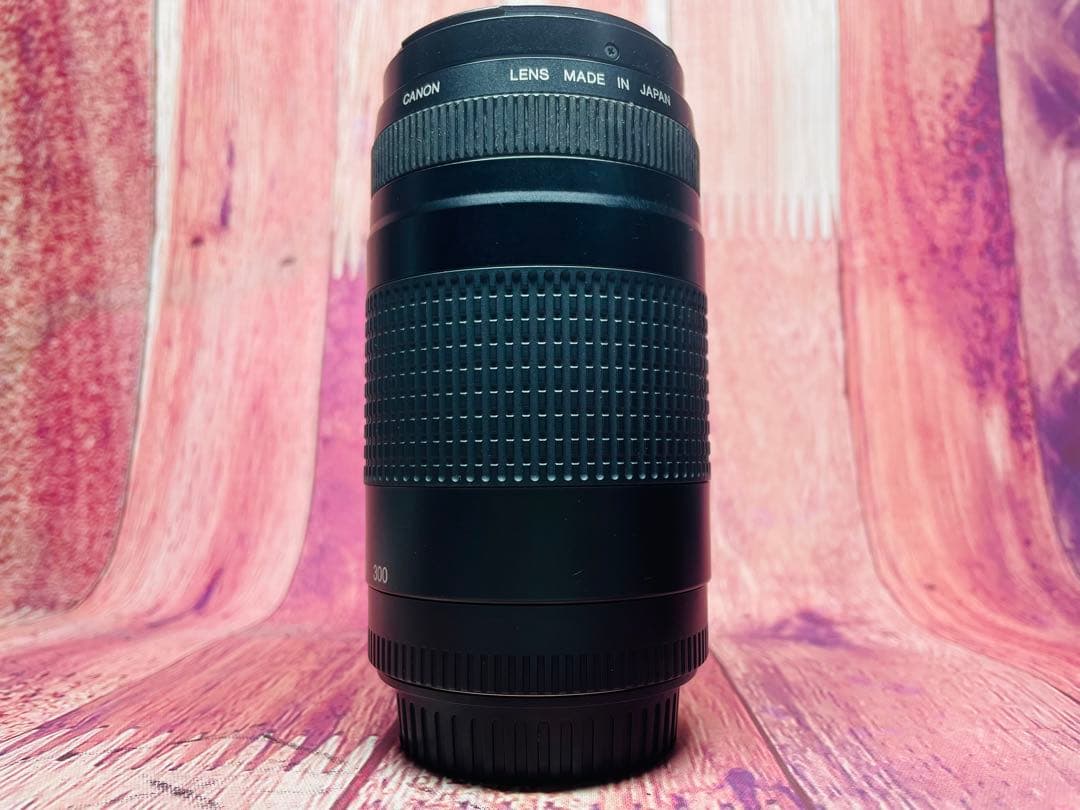Canon キャノン EF 75-300 1:4-5.6 Ⅱ