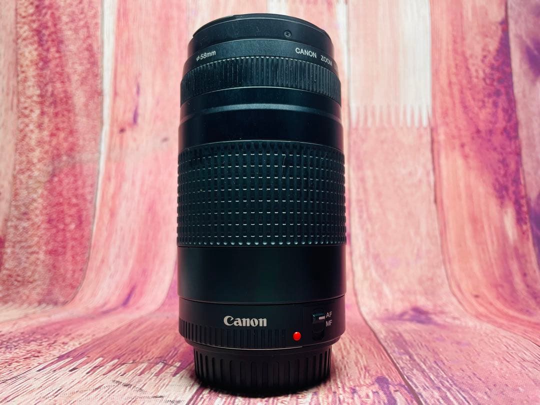 Canon キャノン EF 75-300 1:4-5.6 Ⅱ