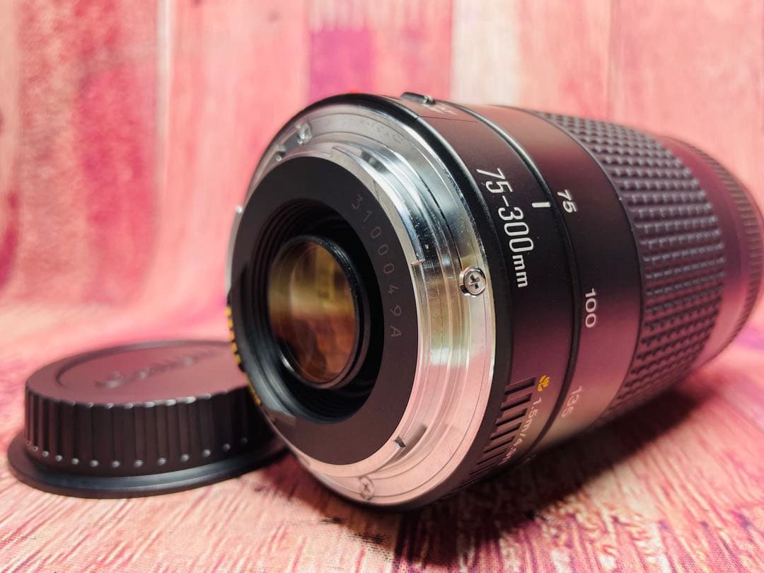Canon キャノン EF 75-300 1:4-5.6 Ⅱ