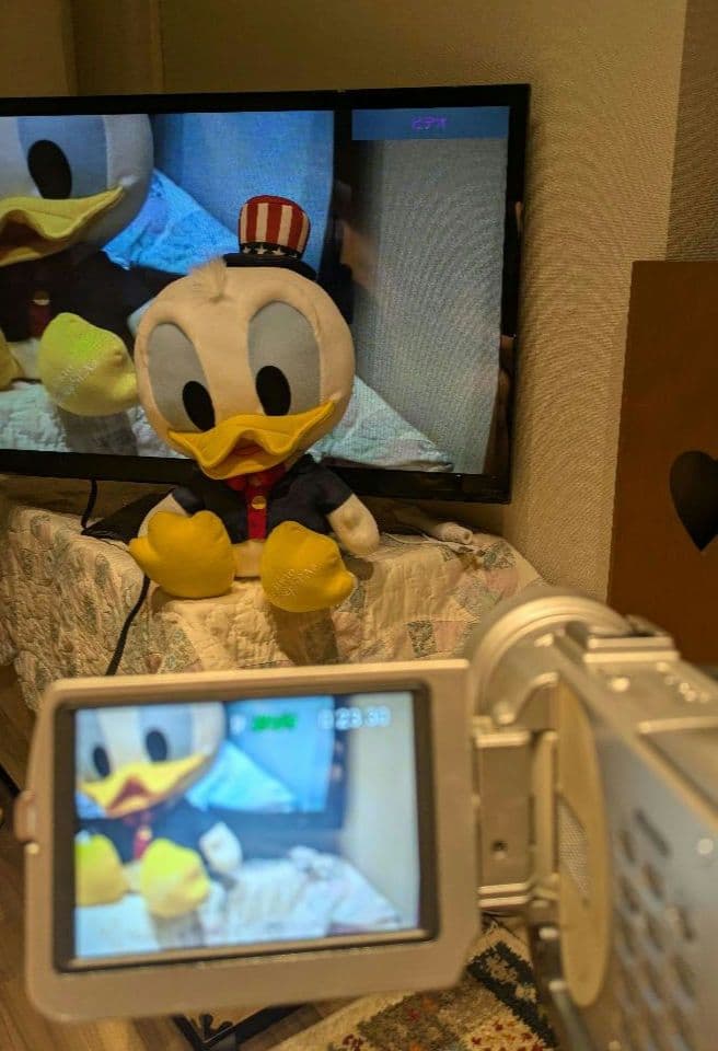 ソニー ビデオカメラ DCR-TRV20 バッテリー付き