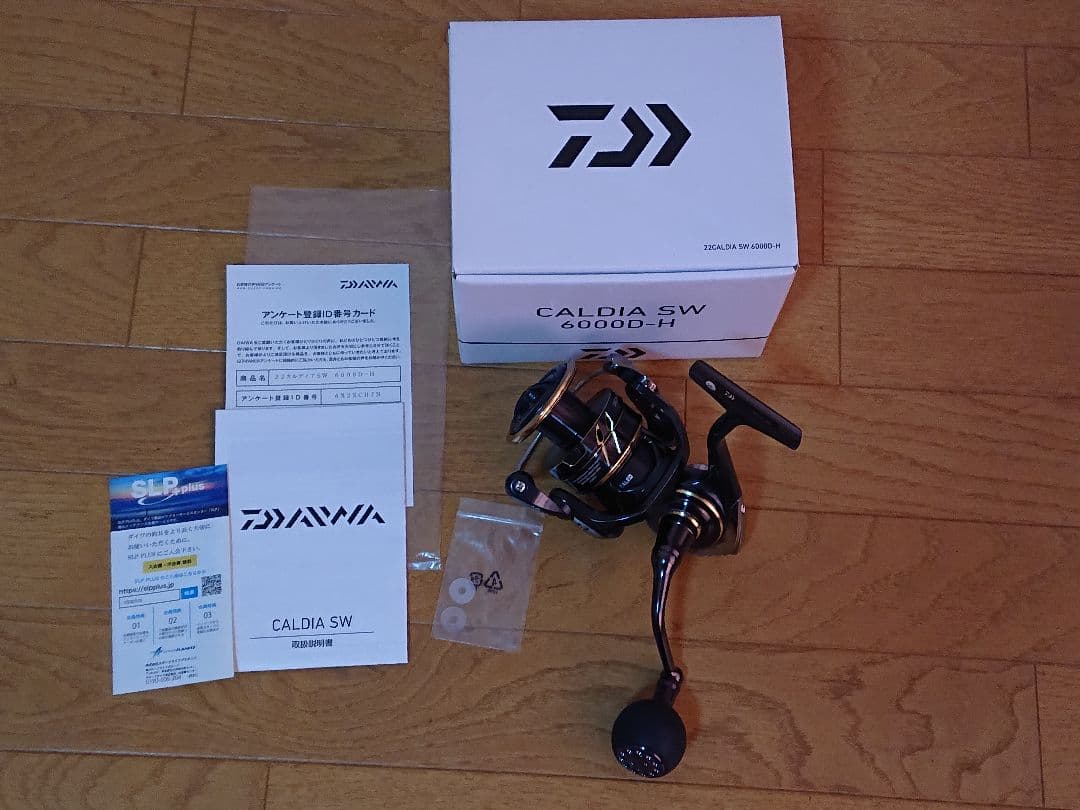 リール DAIWA CALDIA SW 6000D-H