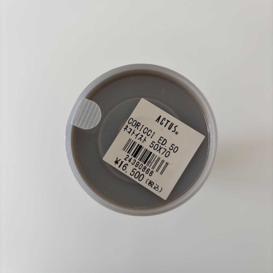 coricci 猫と椅子と 50 x 70cm