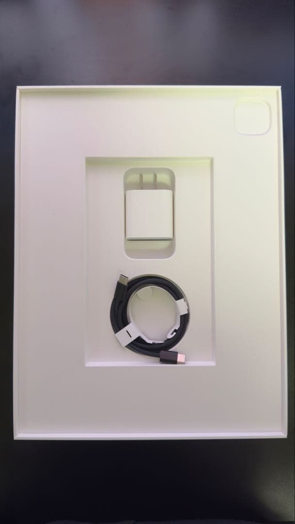 ぶ*り様 iPad Pro(M4) 13インチ 1TB WiFi