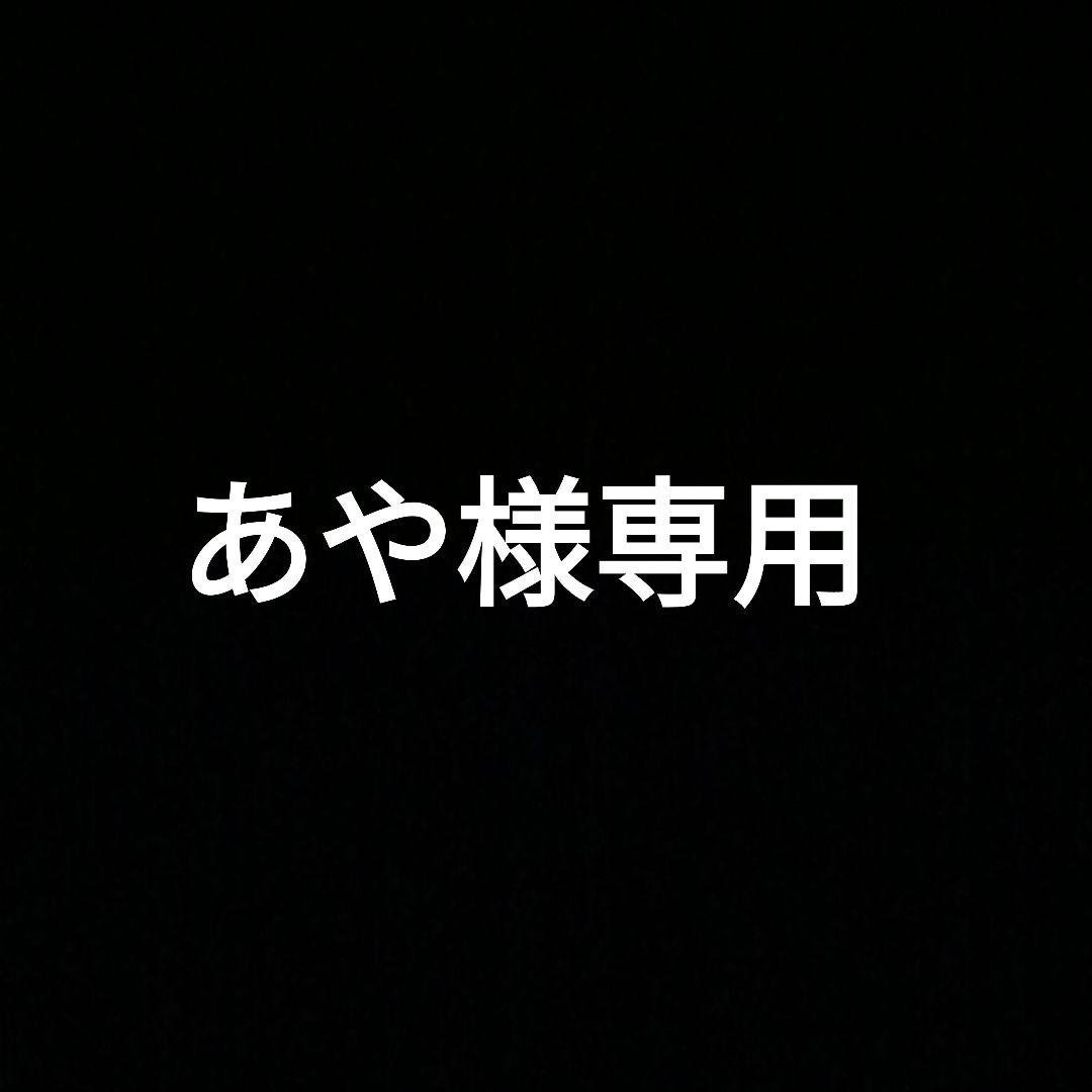 SALONIA サロニア ピュアブライト スチーマー 美顔器 フェイススチーマー