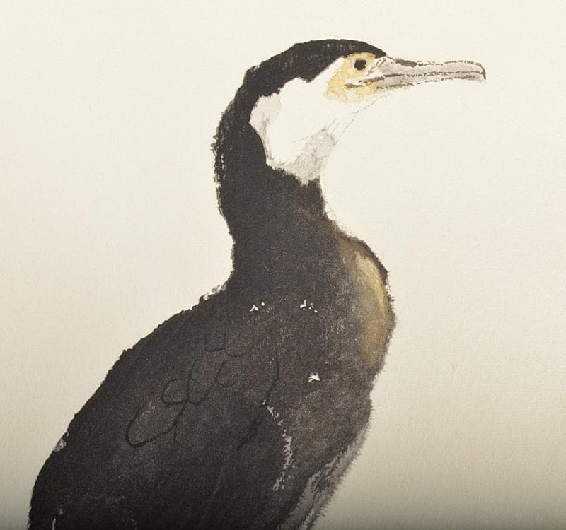 うさぎ　木版画　加藤東一筆　鵜　金閣寺壁画素描　額装　C　R4633C