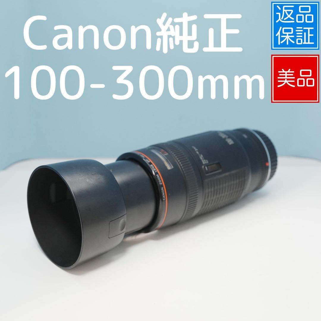 Canon純正 100-300mm F5.6 L 望遠レンズ 美品 a4927