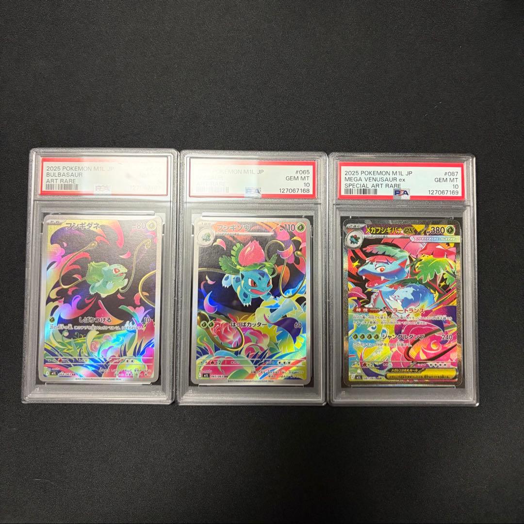 【連番】メガフシギバナ 進化ライン セット