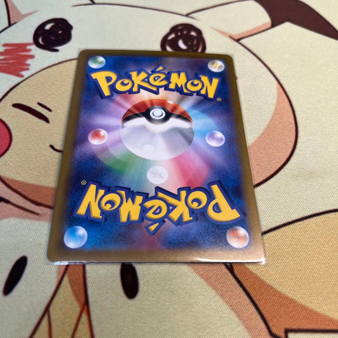 カナリィSAR サーファーSAR タロSR