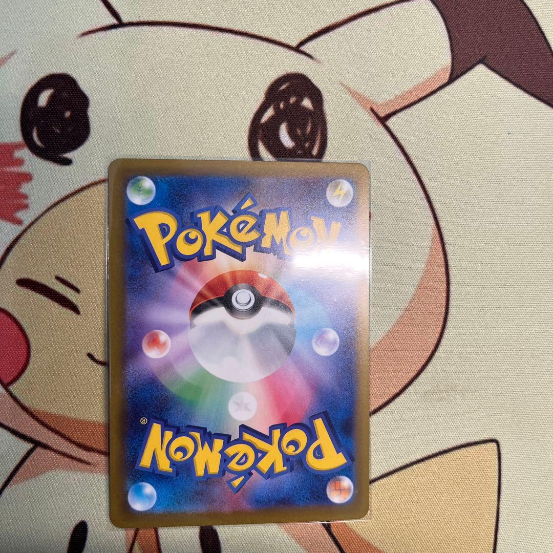 カナリィSAR サーファーSAR タロSR