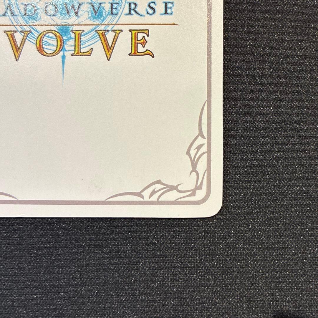 シャドウバース　遥かなる絆・アン＆グレア　リーダー