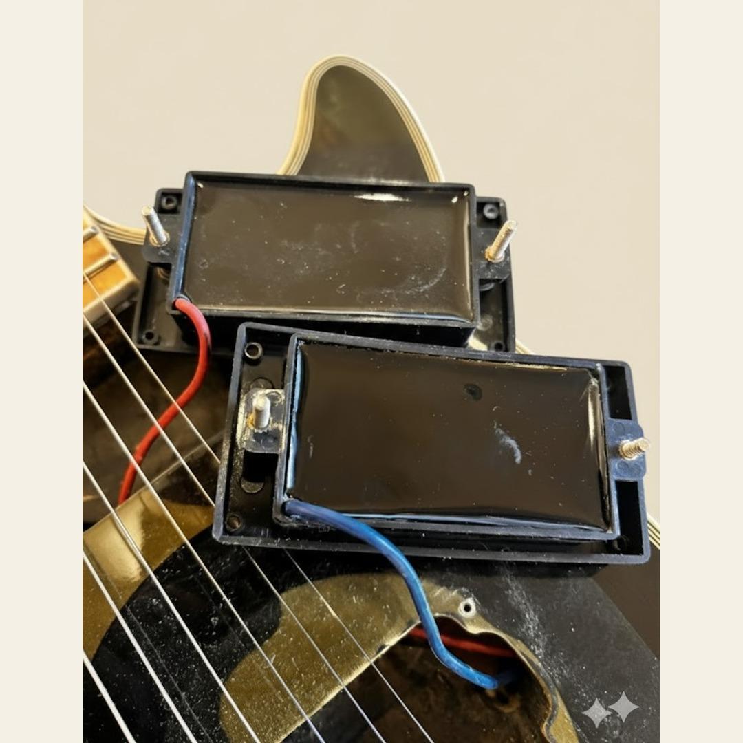 ま*ゃ様 “Zakk Wyldeスタイル” カモフラージュ仕様 電装フルリフレッ