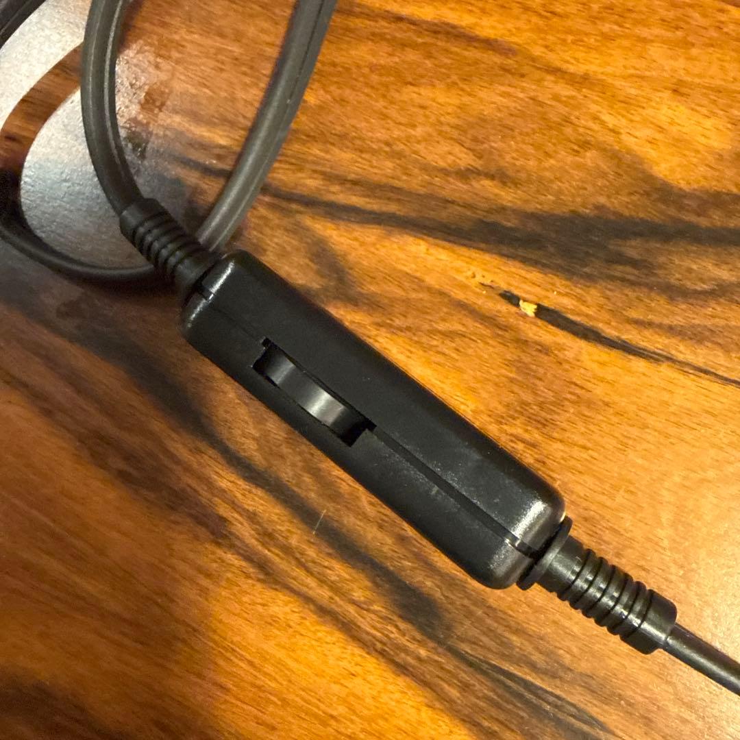 希少 TWENTY ONE ヘアアイロン 平アイロン