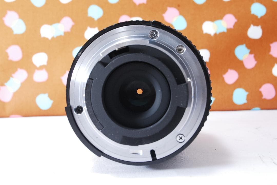 ✨ショット数1071回✨お安くデビュー✨Nikon D70 レンズセット