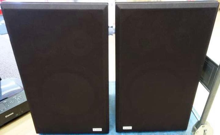 スピーカー・ウーファー LO-D HS-50F