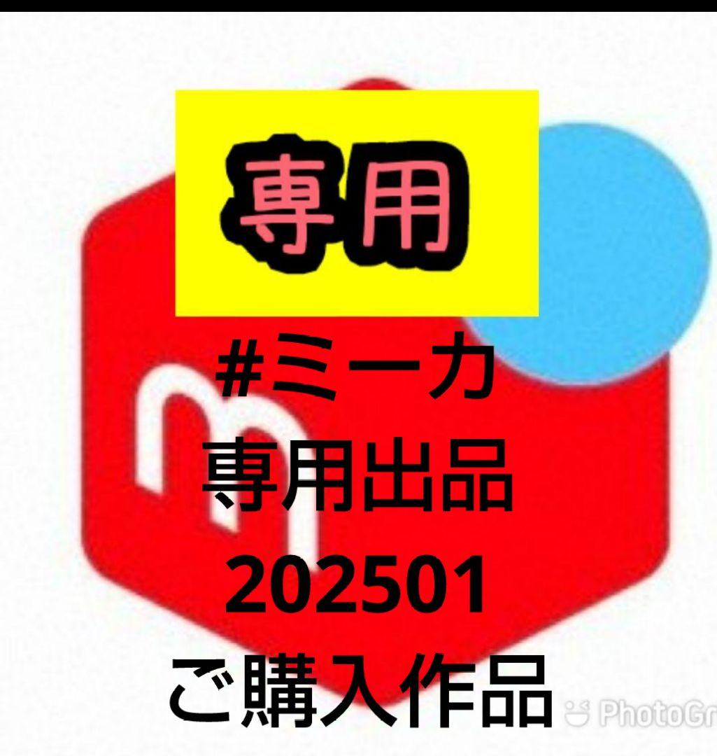 #ミーカ専用出品202501ご購入作品