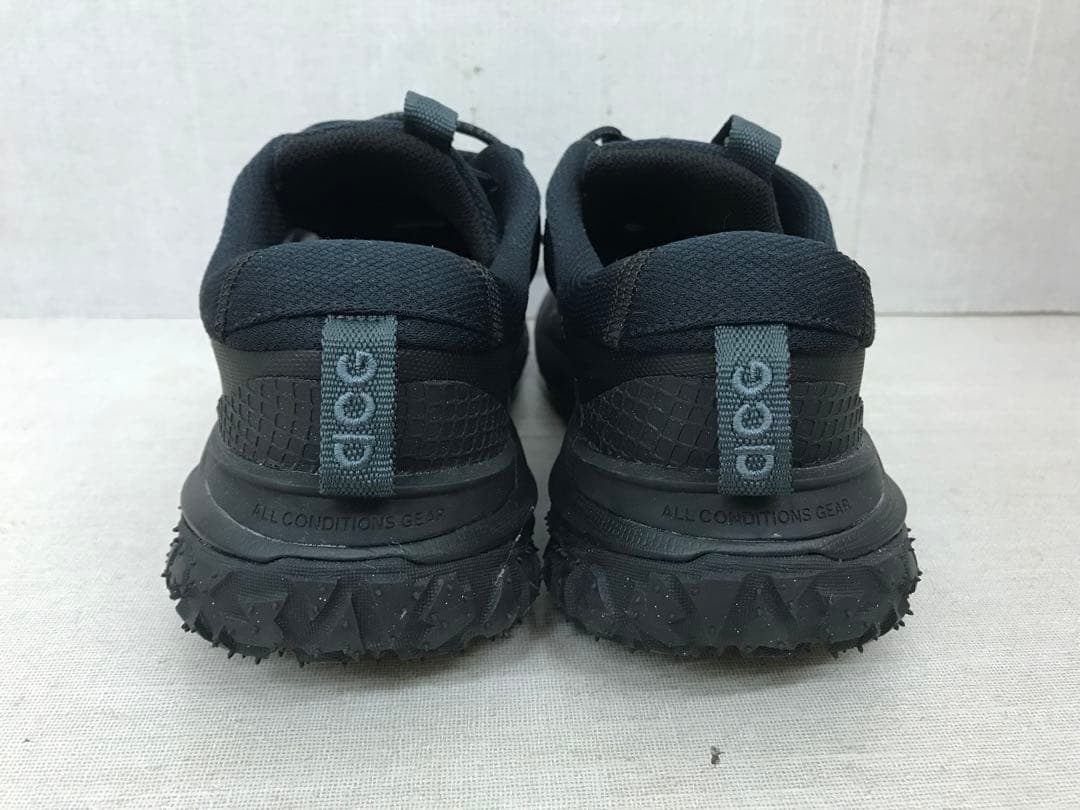 靴 NIKE ACG MOUNTAIN FLY 2 LOW L635