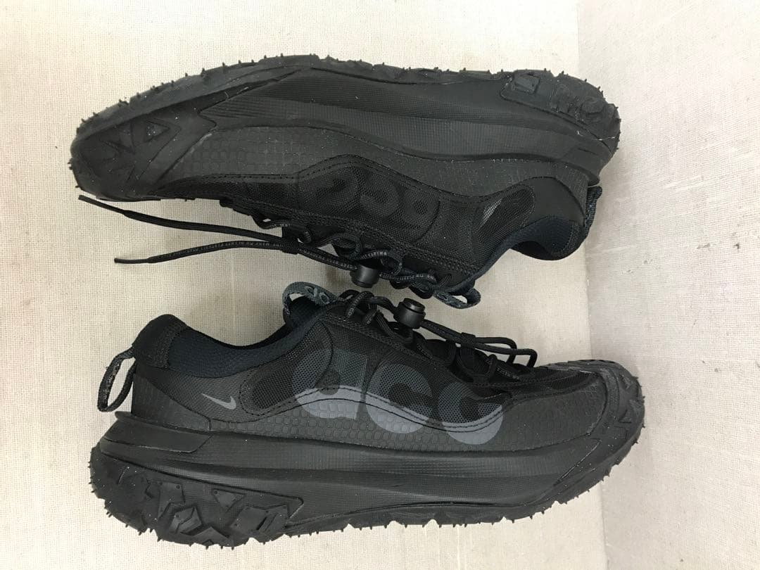 靴 NIKE ACG MOUNTAIN FLY 2 LOW L635