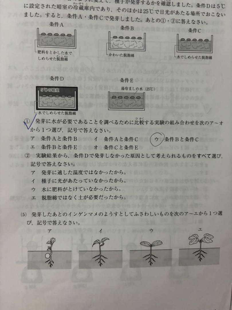 売り尽くし処分‼️断捨離 確認ページ 購入しないでください