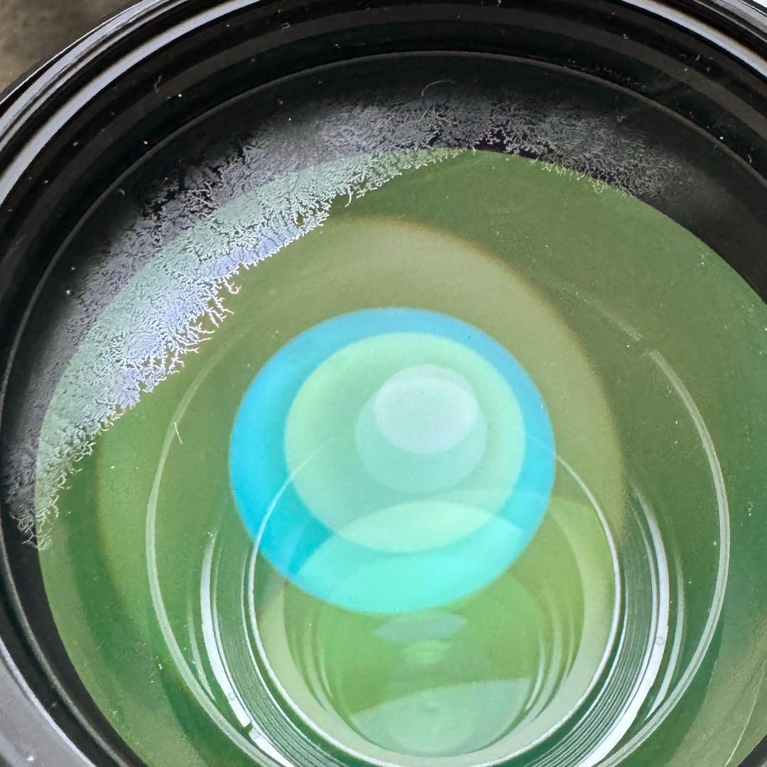 【作例あり】SIGMA超望遠　150-600mm Fマウント