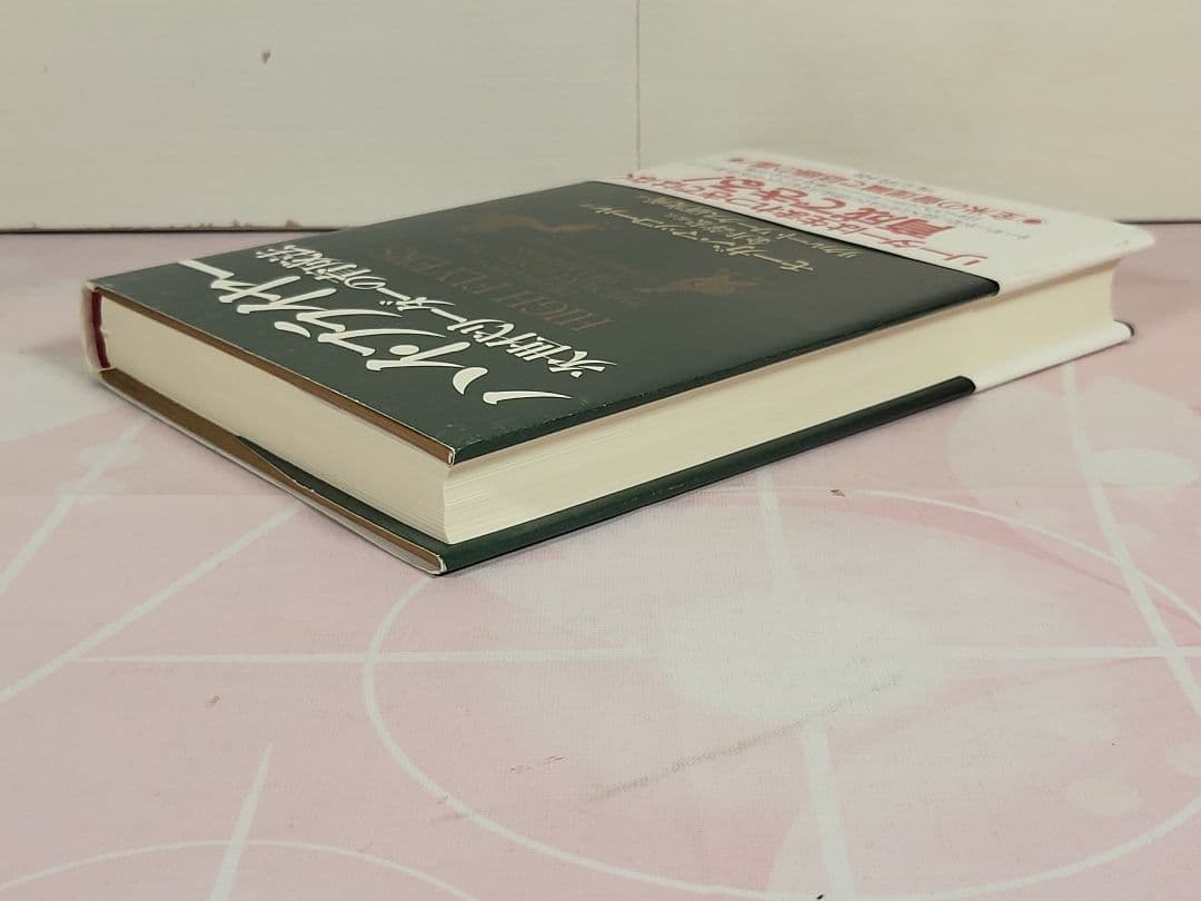 ハイ・フライヤー : 次世代リーダーの育成法