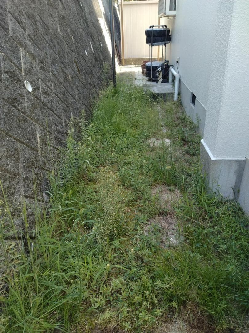 JARDIN(ジャルダン) 【防草シート不要】 人工芝 防草シート一体型 1mA