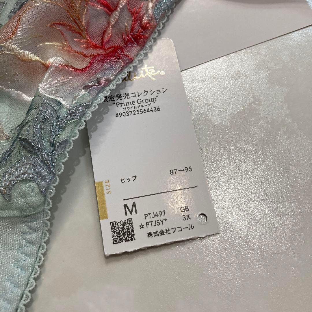 サルート　限定発売コレクション　97G ソング　M GB