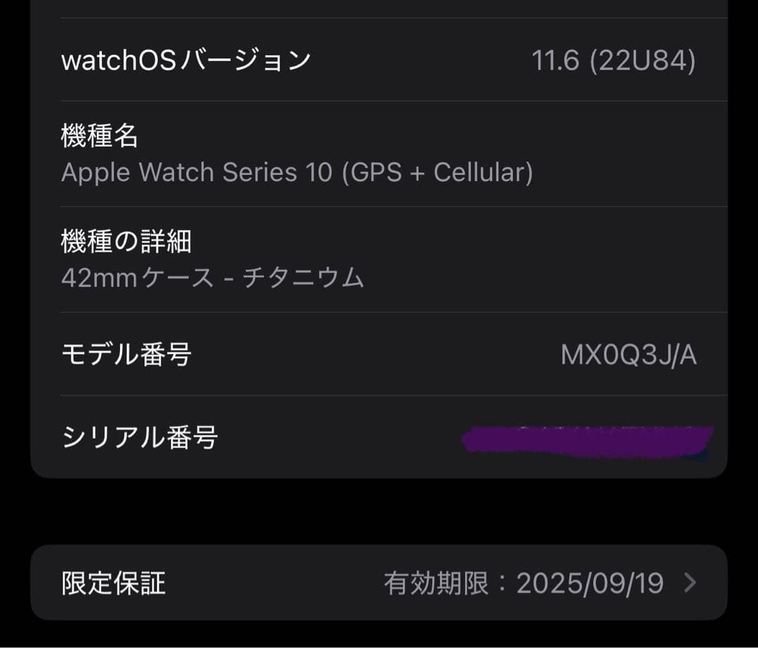 Apple Watch Hermès Series 10 エルメス キリム 黒