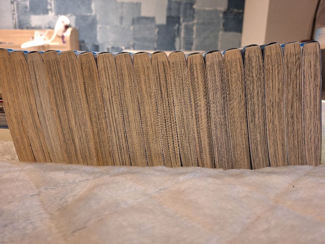 「やま様限定」HUNTER×HUNTER 38巻セット