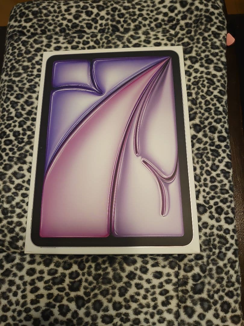 iPad AirM2　 11インチ　256GB