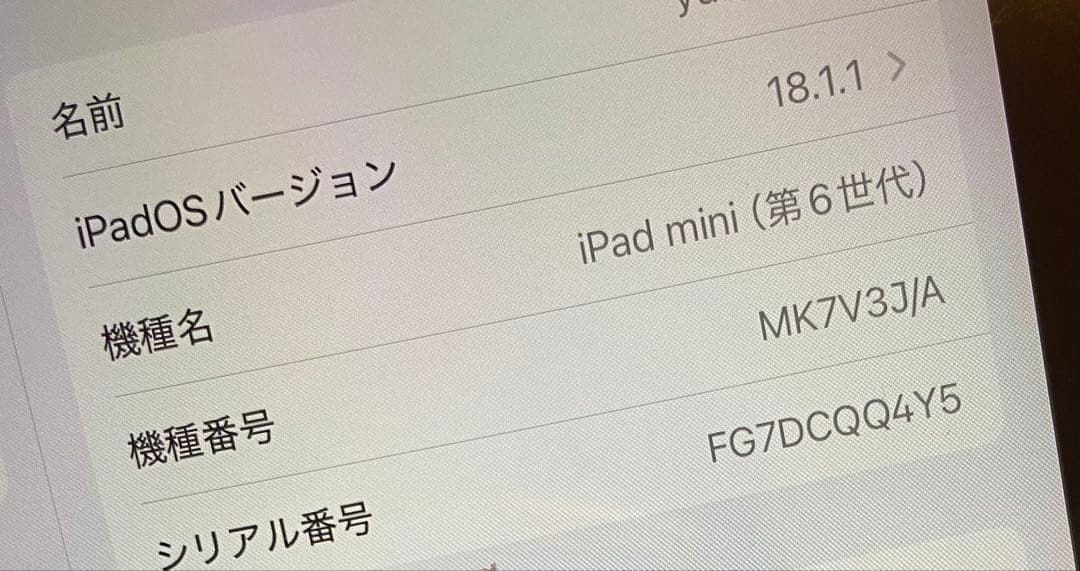 iPad mini 第6世代 256GB Wi-Fiモデル