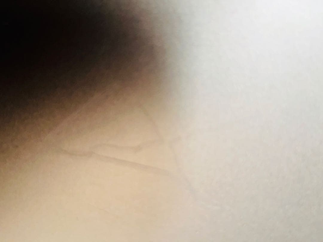 レノボ thinkpad X1 carbon