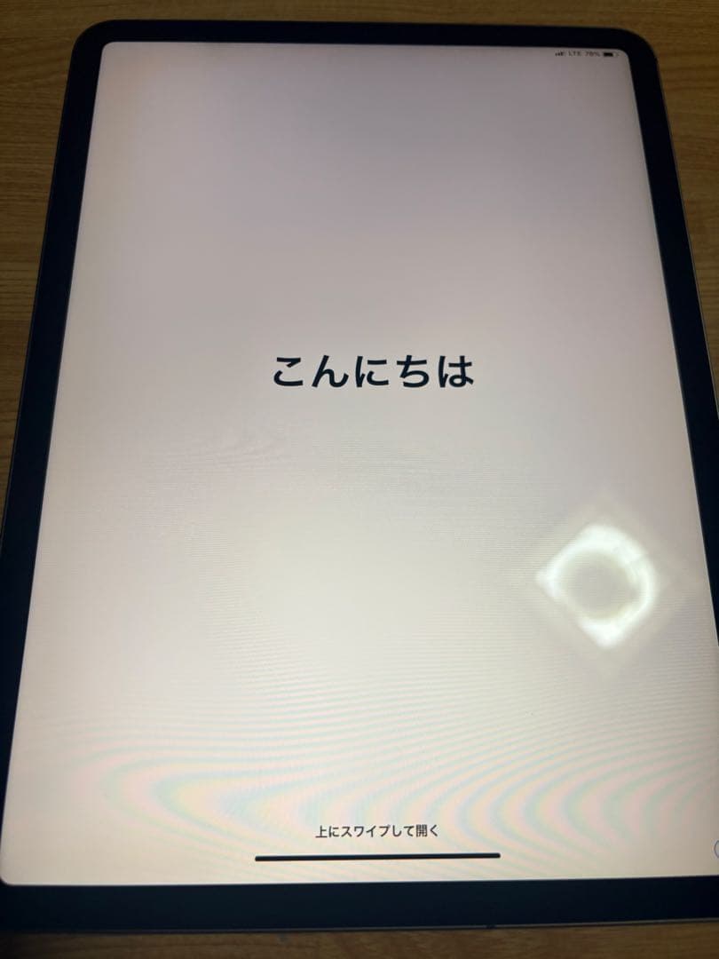 iPad Pro11インチ第一世代259GB