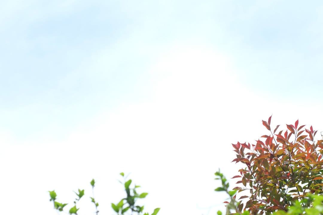 Ai-S NIKKOR 50mm f 1.8 パンケーキレンズ