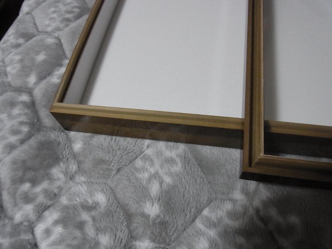 標本箱 T-WOOD 新品 未使用 幅500mm+x高410mm+x厚60mm位