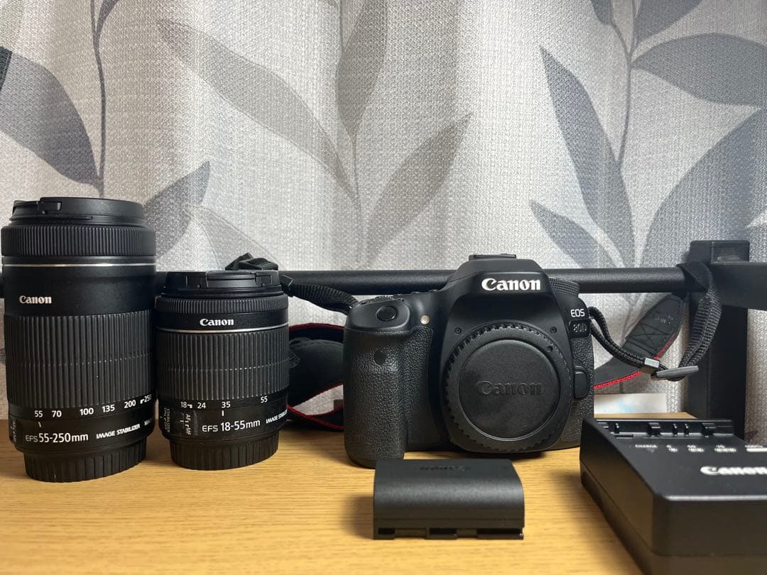 Canon EOS 80D デジタル一眼レフカメラ 2本レンズ付