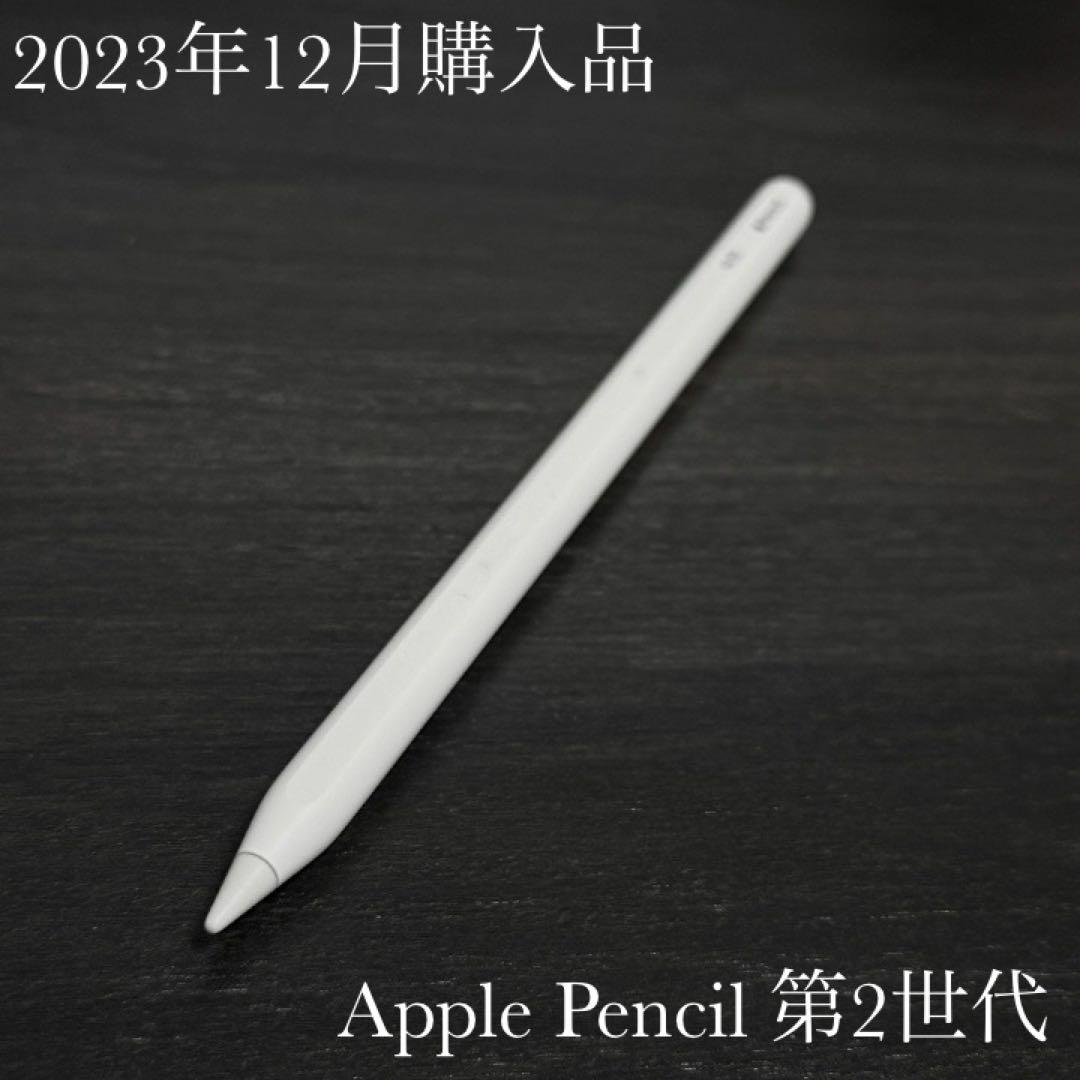 2023年12月購入品　良品　正常動作確認　Apple Pencil 第2世代