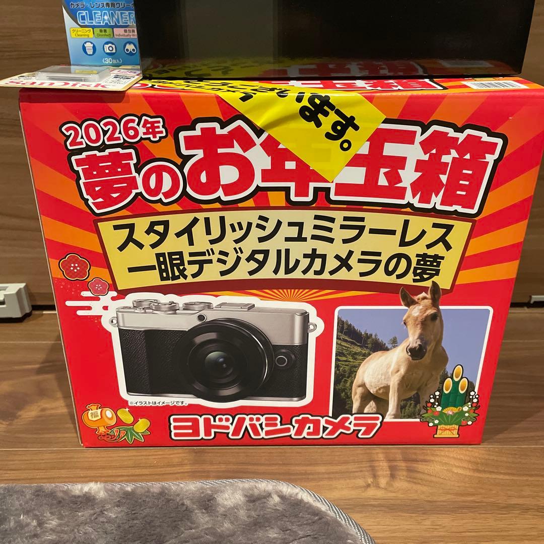 ヨドバシカメラ　福袋　スタイリッシュミラーレス一眼デジタルカメラの夢