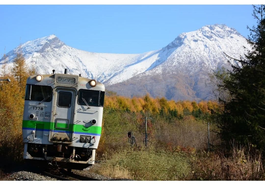 レンズ(ズーム) SIGMA APO 50-500 F4.5-6.3 DG OS HSM F