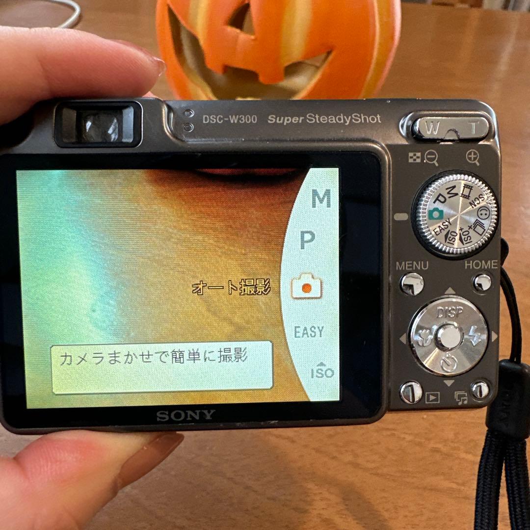 動作確認済み SONYデジカメCyber-shot DSC-W300
