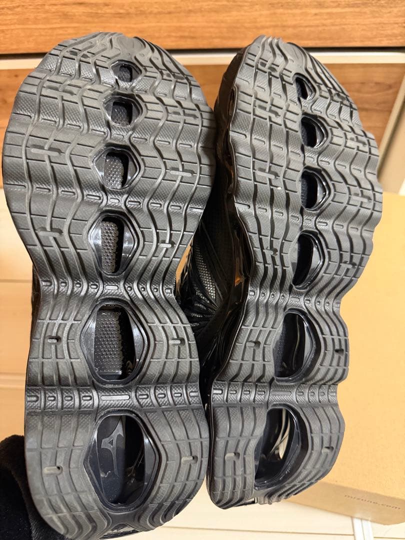 MIZUNO　WAVE PROPHECY LS GTX 28cm