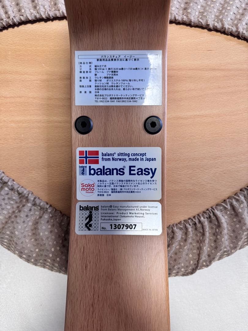 バランスチェア イージー