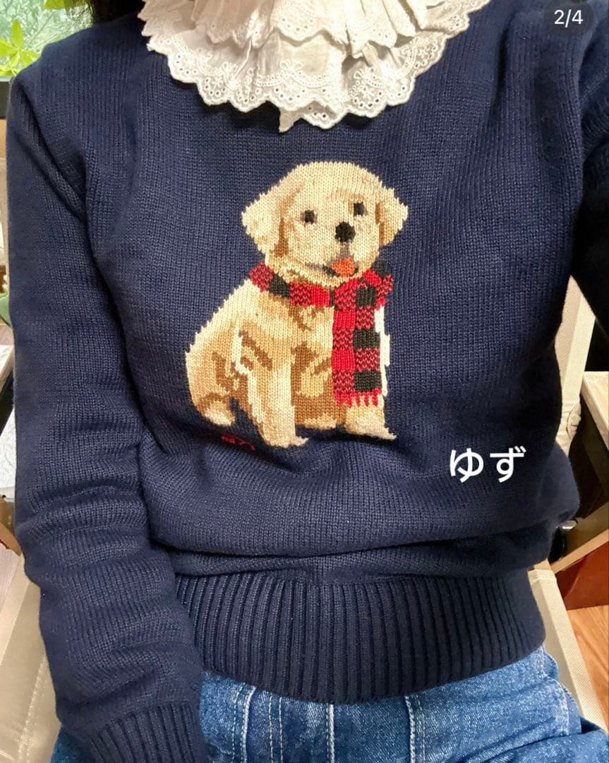 【激レア】POLO RALPH LAUREN 犬puppyニットスンミンさん着用