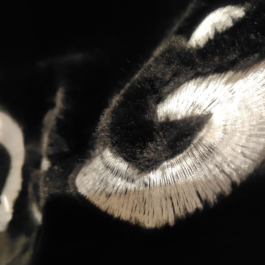 ヴィンテージD&G ブラック モコモコ　ブルゾン