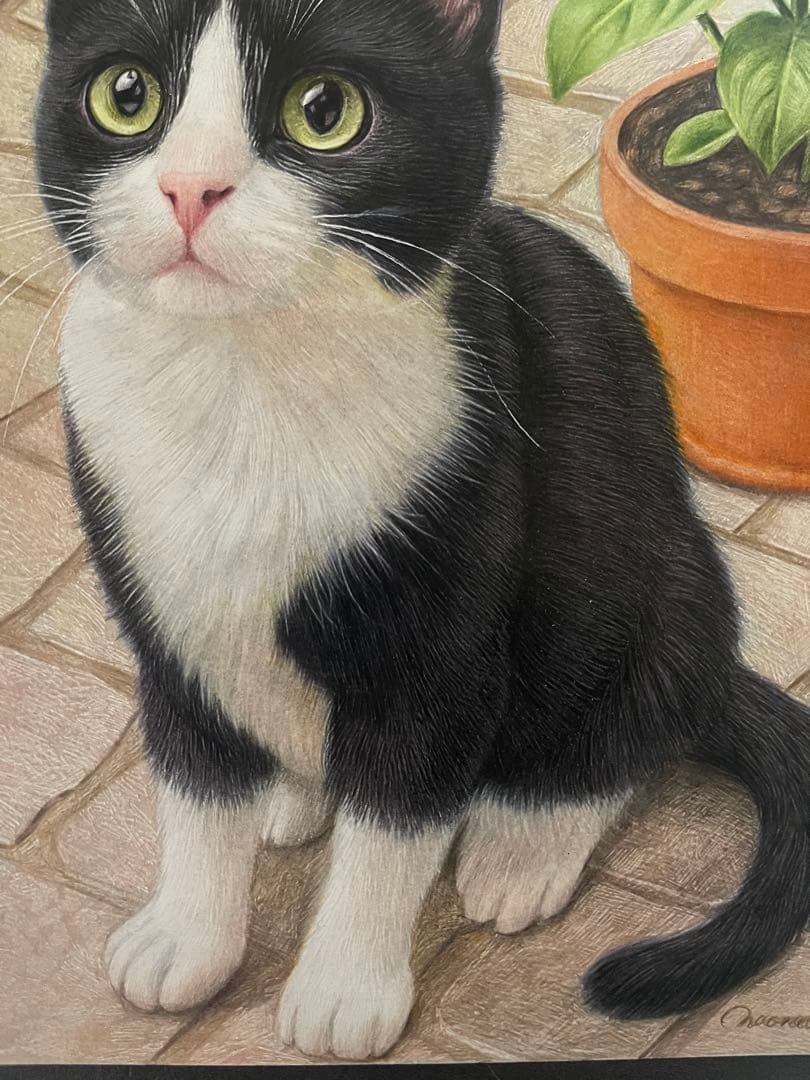 色鉛筆画 A4 ハチワレ猫127