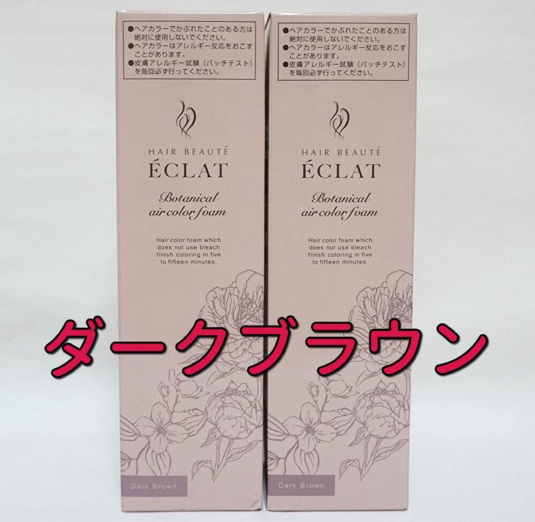 ヘアボーテ　エクラ　ボタニカルエアカラーフォームup　ダークブラウン150g2本