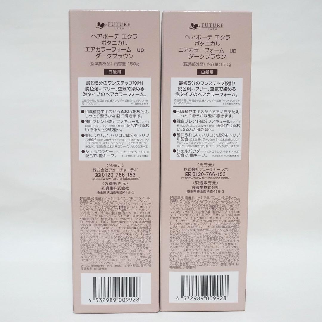 ヘアボーテ　エクラ　ボタニカルエアカラーフォームup　ダークブラウン150g2本