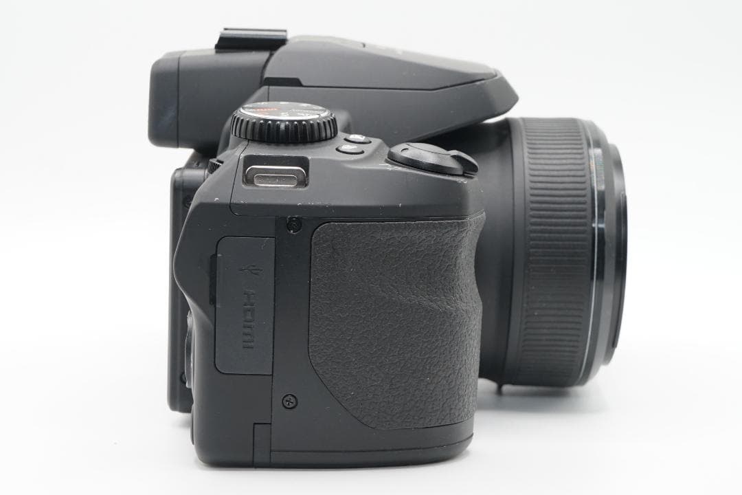 FUJIFILM FINEPIX S1　充電器バッテリー２個付き　実写画像あり