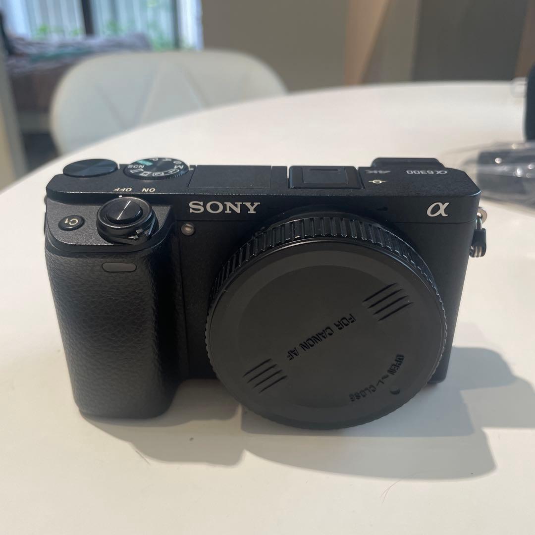 SONY Eマウント ミラーレスカメラ a6300 パワーズームレンズキット