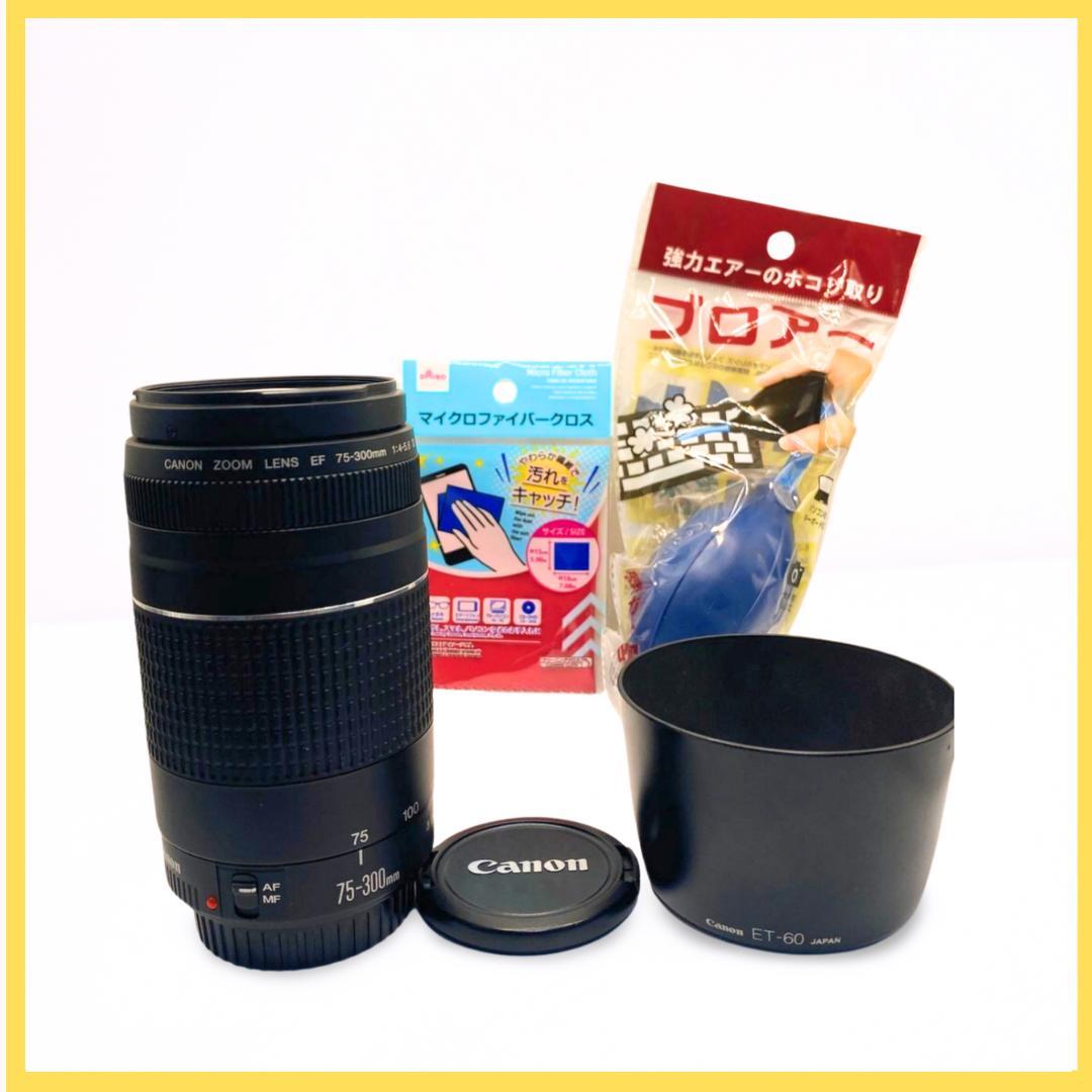 ⭐️美品⭐️Canon EF 75-300mm F4-5.6 III 望遠レンズ